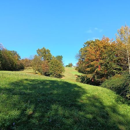 Agriturismo Fattoria Ortoalpino Trichiana Eksteriør billede