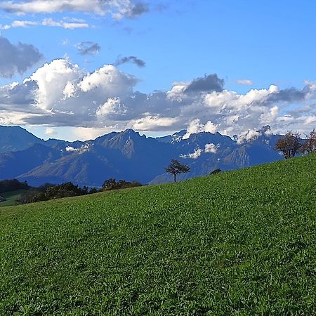 Agriturismo Fattoria Ortoalpino Trichiana Eksteriør billede