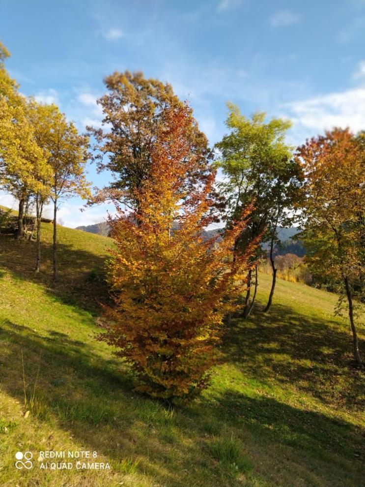 Agriturismo Fattoria Ortoalpino Trichiana Eksteriør billede