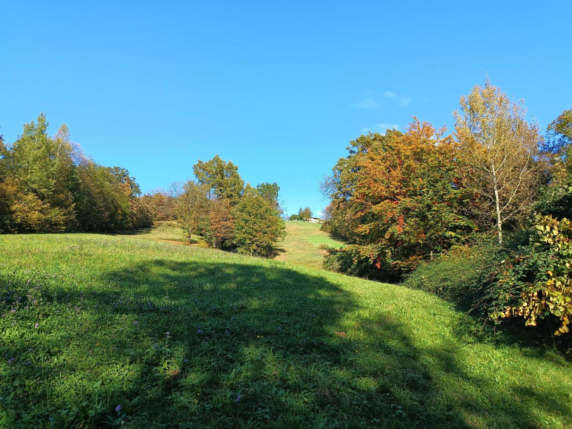 Agriturismo Fattoria Ortoalpino Trichiana Eksteriør billede