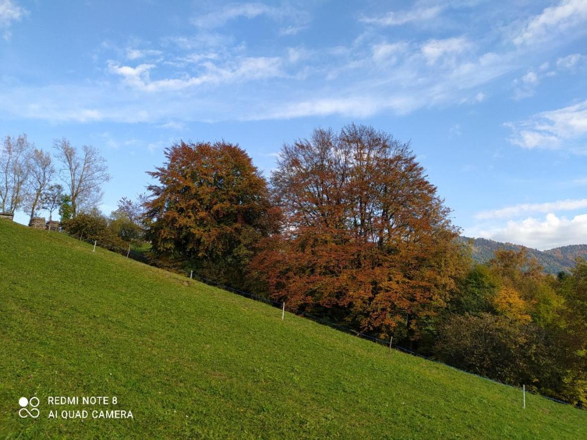 Agriturismo Fattoria Ortoalpino Trichiana Eksteriør billede