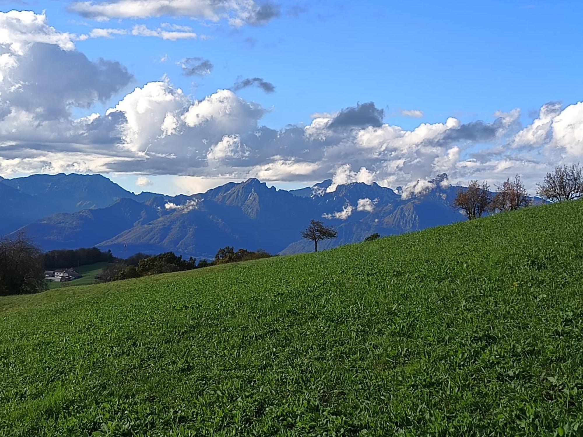 Agriturismo Fattoria Ortoalpino Trichiana Eksteriør billede