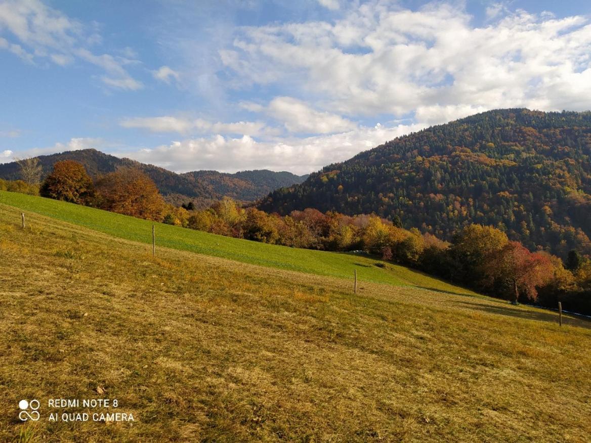 Agriturismo Fattoria Ortoalpino Trichiana Eksteriør billede