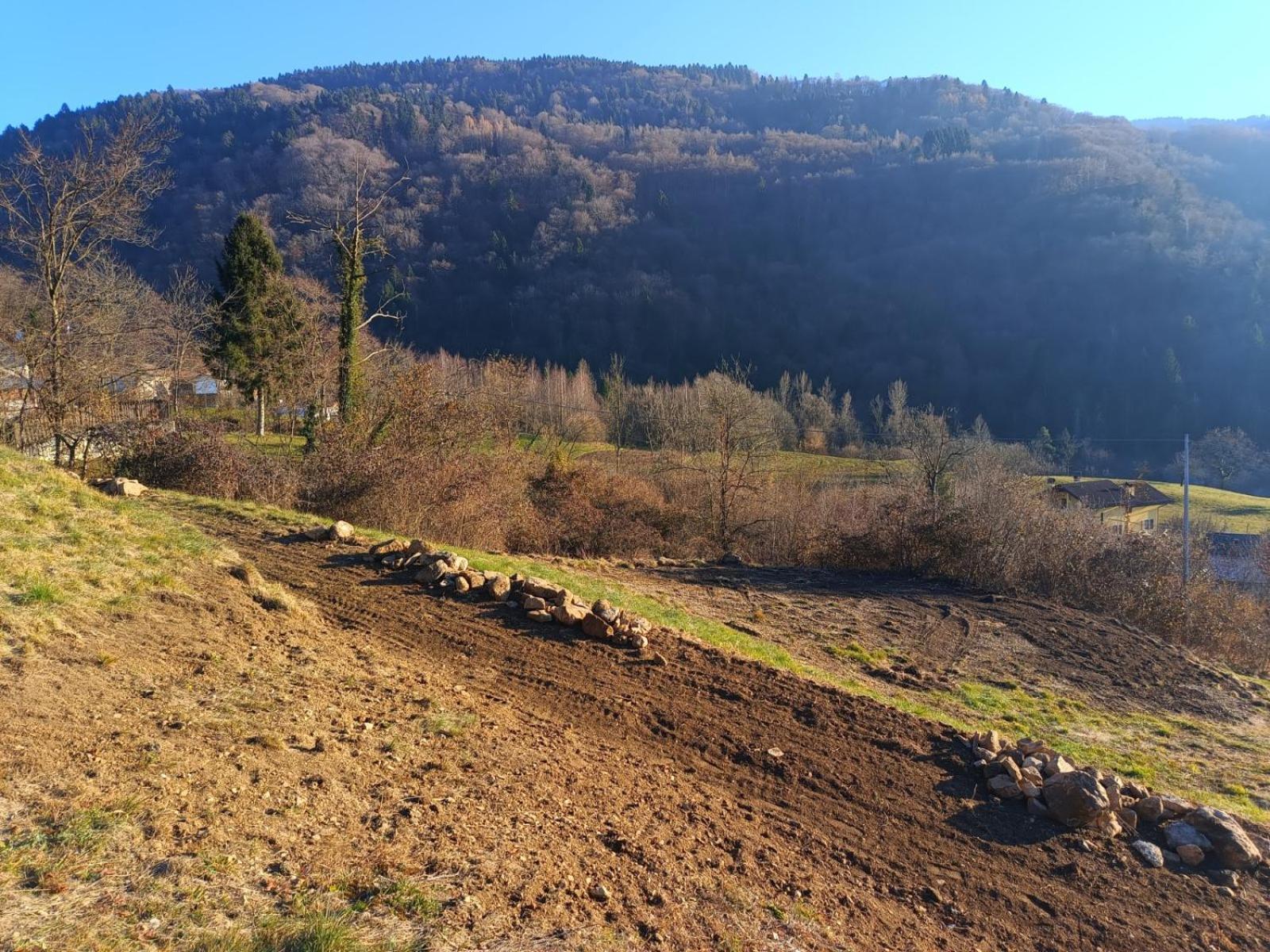 Agriturismo Fattoria Ortoalpino Trichiana Eksteriør billede