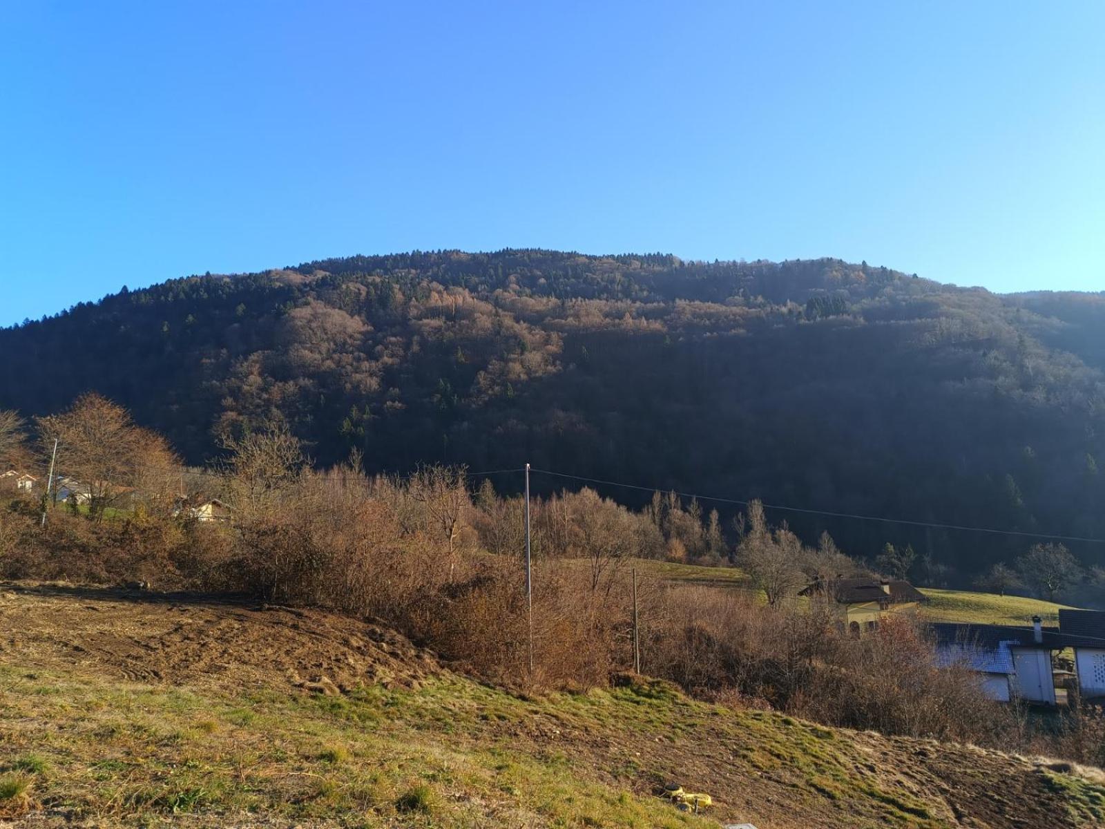 Agriturismo Fattoria Ortoalpino Trichiana Eksteriør billede