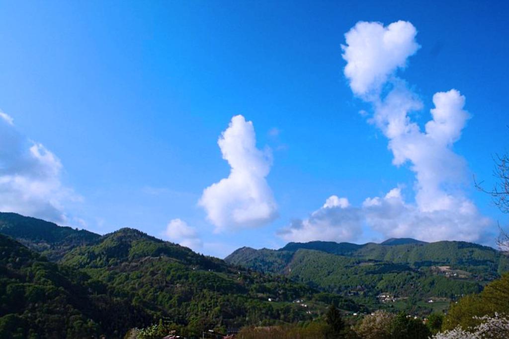 Agriturismo Fattoria Ortoalpino Trichiana Eksteriør billede
