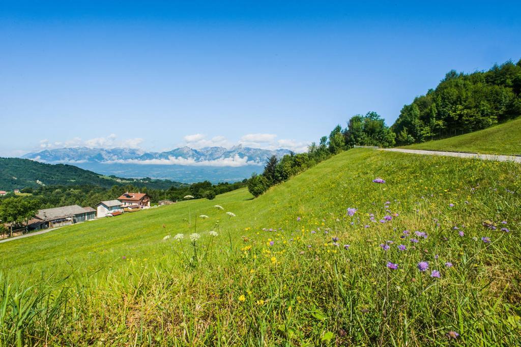 Agriturismo Fattoria Ortoalpino Trichiana Eksteriør billede