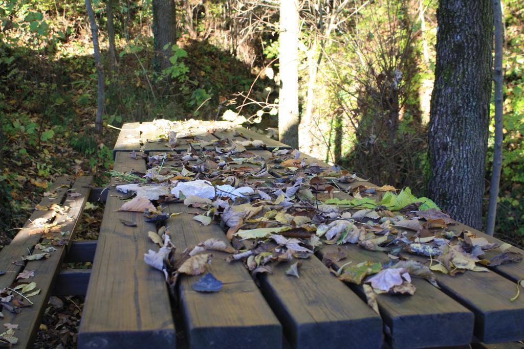 Agriturismo Fattoria Ortoalpino Trichiana Eksteriør billede