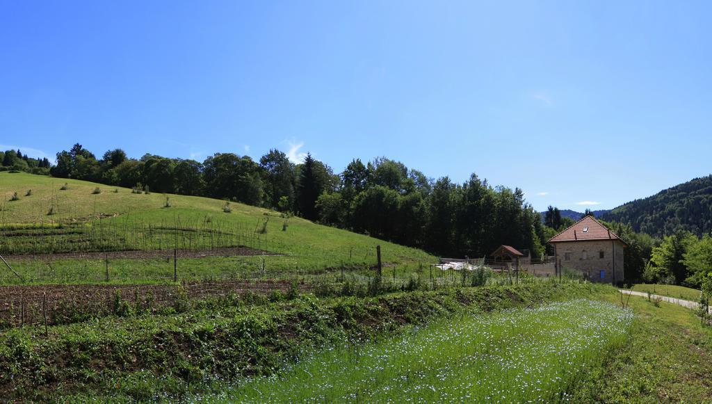 Agriturismo Fattoria Ortoalpino Trichiana Eksteriør billede